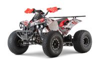 NITRO MOTORS 1500W 60V Eco midi Kinder Quad Warrior Graffiti 8" Nordrhein-Westfalen - Gelsenkirchen Vorschau