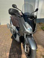 Biete Yamaha X Max 250 Hessen - Biebesheim Vorschau