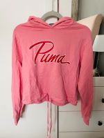 Puma Pullover Bad Doberan - Landkreis - Elmenhorst/Lichtenhagen Vorschau