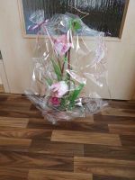 Geschenk Blume Trockenblume neu Sachsen - Reinhardtsgrimma Vorschau