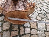 Konifere Thuja Stämme 215 cm 180 cm Drechseln Handwerk Holz Sachsen - Zwickau Vorschau