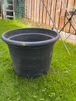 Pflanzkübel , Blumentopf, Kübel 60cm Durchmesser Bayern - Landshut Vorschau