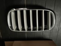 BMW F15 F16 X5 X6 Niere Grill Kühlergrill 7316076 aus M-Paket Saarbrücken-Mitte - St Johann Vorschau