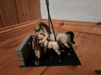 Schleich Pferdedusche Hohen Neuendorf - Stolpe Vorschau