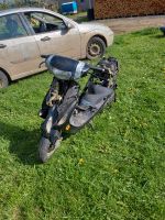 Rex 50 Motorroller (Tuning-Modell) Nordrhein-Westfalen - Eitorf Vorschau