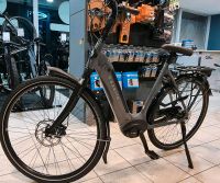 E-Bike*Gazelle*Bosch Plus*500Wh* Münster (Westfalen) - Wolbeck Vorschau