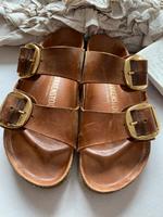 Birkenstock Sachsen-Anhalt - Aken Vorschau