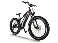 Himiway Cruiser E-Bike All Terrain Elektrofahrrad Fatbike Bayern - Birkenfeld b. Marktheidenfeld Vorschau