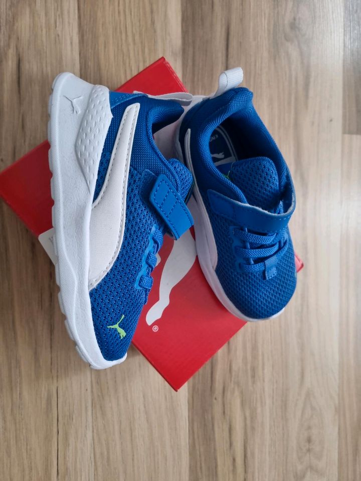 Kinder Sneaker Puma blau Größe 24 in Rohr