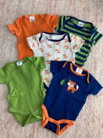 5er Pack Bodys von Baby gear 2x0-3m 3x3-6m Baden-Württemberg - Ludwigsburg Vorschau