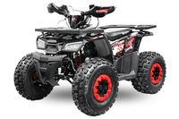 Midiquad Kinderquad Platin Line Rocco 125 RS8-A Mecklenburg-Vorpommern - Groß Kordshagen Vorschau