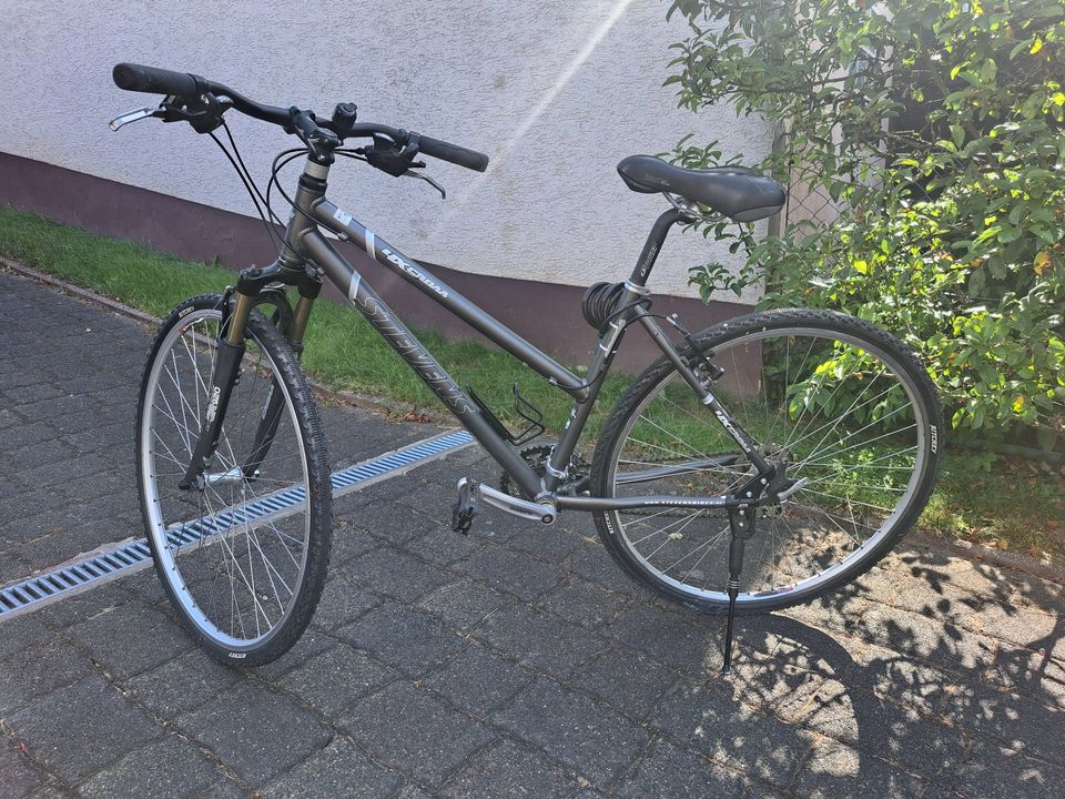 Damenfahrrad - STEVENS 4X CROSS in Neunkirchen