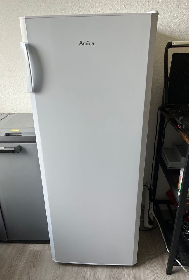 Amica Gefrierschrank GS 324 100 W, 141 cm hoch, 55 cm breit in Kreuztal