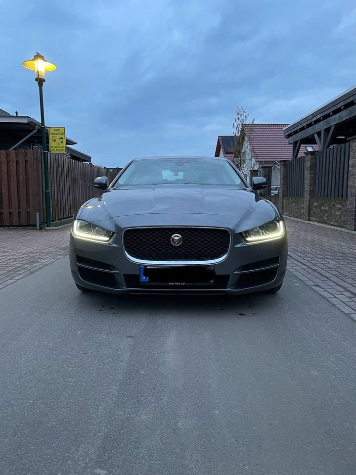 Jaguar XE Prestige in Molbergen