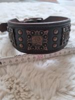 Lederhalsband 5cm breit Bulldog Bullys beschlag Bayern - Fürth Vorschau