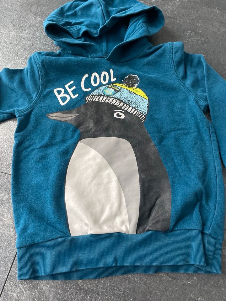 Kinderpullover Hoodie Gr. 110 in Giebelstadt