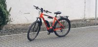 E Bike TREK Powerfly 7 Hessen - Bad Endbach Vorschau