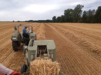 Kleinballen Stroh Baden-Württemberg - Helmstadt-Bargen Vorschau