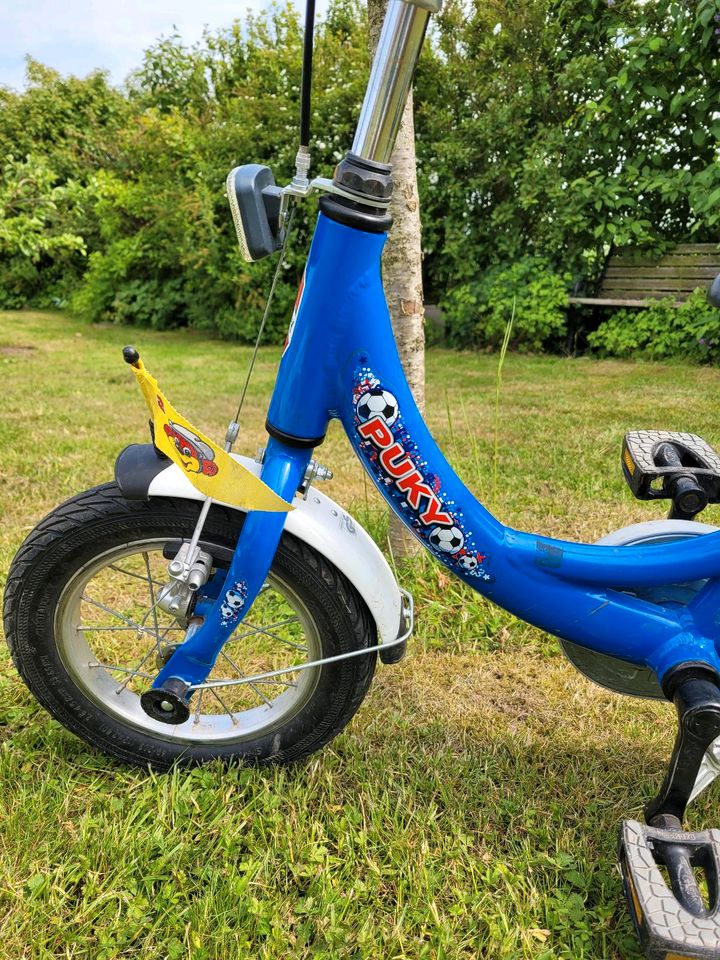 Puky Fahrrad blau 12 Zoll Alu-Rahmen in Greifswald