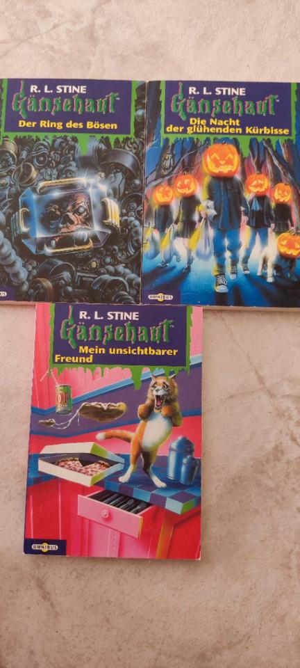 Gänsehaut Kinder Taschenbuch Serie von R.L. Stine 10+ in Grenzach-Wyhlen