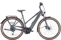BULLS Cross Lite EVO 1 Trapez, Gr. 55cm UVP: 4399,00€ Baden-Württemberg - Kuppenheim Vorschau