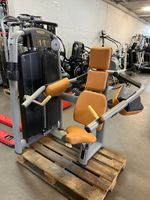 Technogym Selection Line Delts, Delts Machine, Schulterpresse Baden-Württemberg - Erbach Vorschau