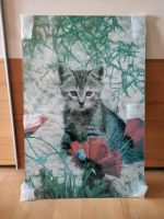 Glaswandbild groß, Katzenbaby, 93 cm x 62 cm Bayern - Schwarzach Vorschau