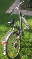 Pegasus Fahrrad 28 Zoll Damenrad Nordrhein-Westfalen - Velen Vorschau