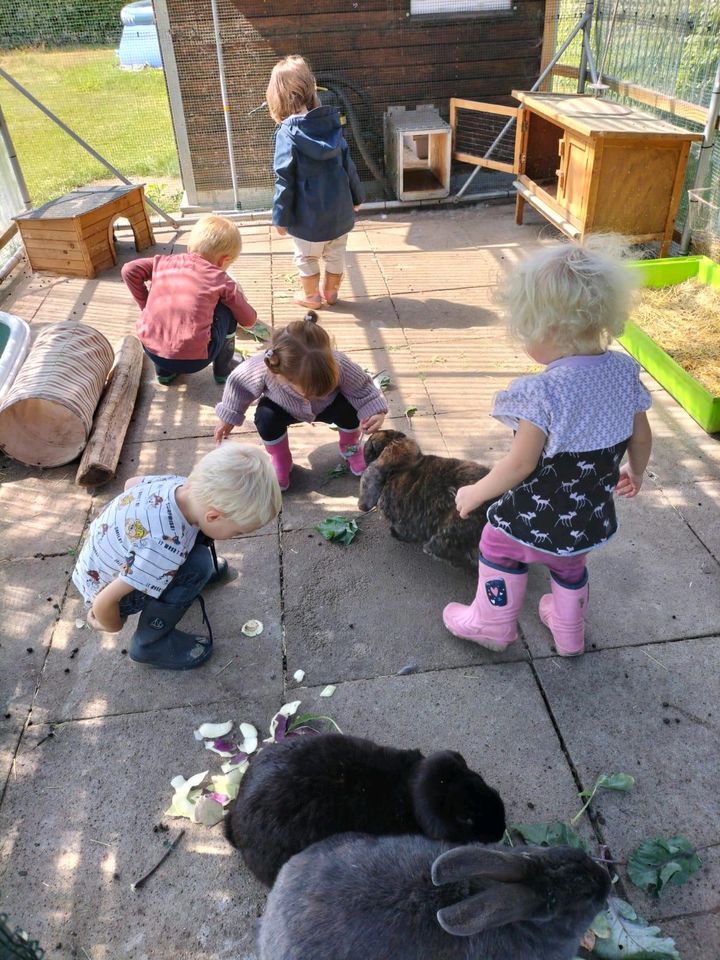 Kindertagespflegeplatz im Rabennest ab August frei in Langenberg