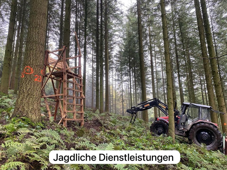 Baumfällarbeiten Heckenschnitt Baumpflege Mulcharbeiten in Orsfeld