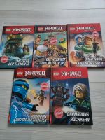 Ninjago Kinderbücher Nordrhein-Westfalen - Leopoldshöhe Vorschau