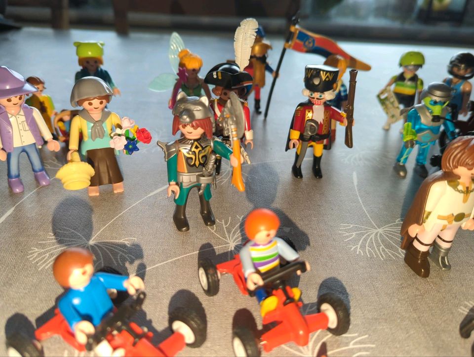 Playmobil Spielfiguren in Frickenhausen