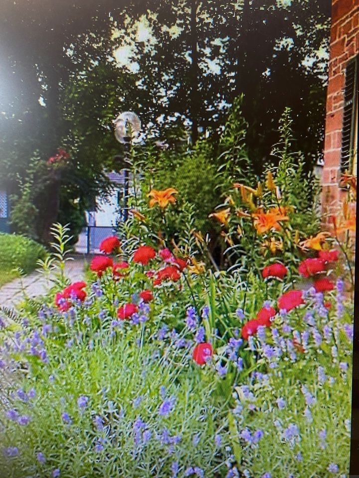 Ferienwohnung Villa-Bella-Flora in Bad Kissingen in Bad Kissingen