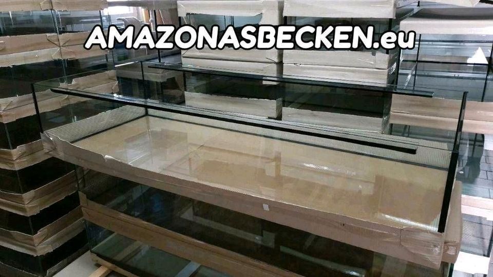 150x60x30 Aquarium 270l L Wels Axolotl Korallen Riff in Bad Nenndorf