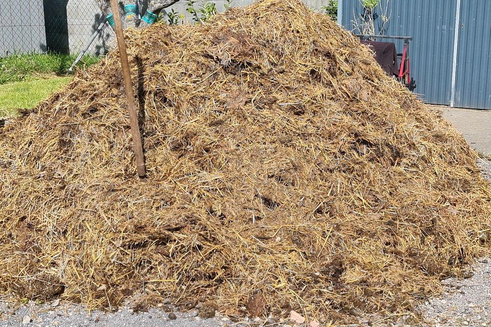 Schafmist zu verschenken in Bad Frankenhausen/Kyffhäuser