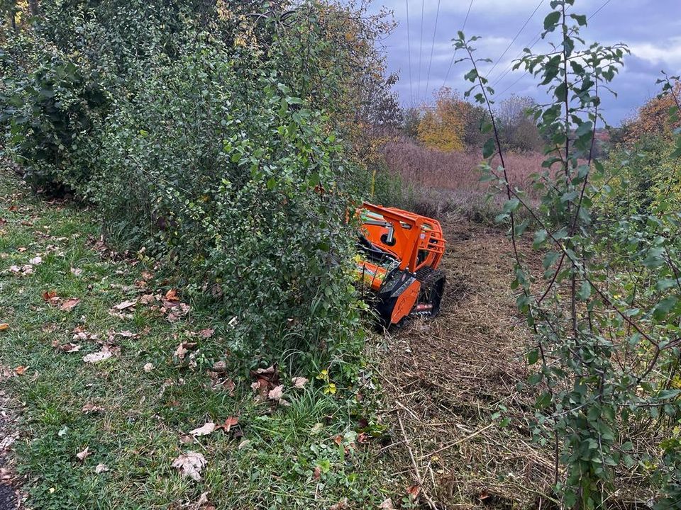 Mulchen mit Grasmulcher und Forstfräse. Hang, Böschungen, Baufeld in Waltershausen