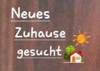 Einheimisches Ehepaar mit ruhigem Hund sucht 2-3 Zimmer Mietwohnu Freiburg im Breisgau - Hinterzarten Vorschau