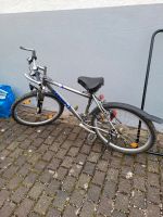 Fahrrad 26 zoll Hessen - Niddatal Vorschau