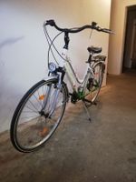 KS Cycling Damen Trekkingrad 28Zoll Sattel ist Handarbeit Italien Dresden - Prohlis-Nord Vorschau