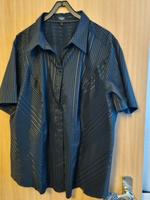 Damen Bluse gr.54 für 5euro Nordrhein-Westfalen - Blomberg Vorschau