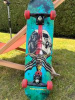 Powel Peralta Skateboard, gebraucht Kreis Pinneberg - Bilsen Vorschau