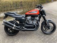 Harley Davidson XR 1200 Flat Track / Scrambler Einzelstück Bayern - Mühldorf a.Inn Vorschau