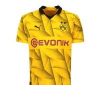 Suche  Dortmund Champions League Trikot XL Nordrhein-Westfalen - Minden Vorschau