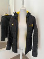BVB Jacke Damen Gr. 36 Nordrhein-Westfalen - Datteln Vorschau