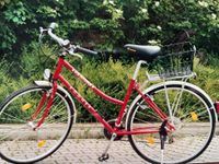 Bogner Damenrad Farbe rot Aluminium WB Outdoor Rad Hessen - Kassel Vorschau