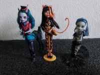 Monster High Puppen (Freak du Schick) Baden-Württemberg - Dobel Vorschau