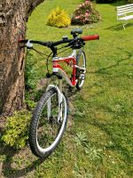 Kellys Rogue Croascountry bike Sachsen - Dohna Vorschau