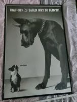 Hunde / Posterbild zu verkaufen Nordrhein-Westfalen - Welver Vorschau