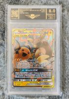 AP graded Raichu & Alola Raichu 8 von 2019 Pokemon Karte Schleswig-Holstein - Itzehoe Vorschau