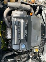 Vw Golf 4 1.4 16v AXP APE Motor mit Anbauteilen 113tkm Schleswig-Holstein - Langwedel Vorschau